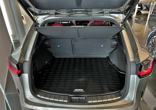 Lexus NX cena 334575 przebieg: 1, rok produkcji 2024 z Trzebinia małe 67